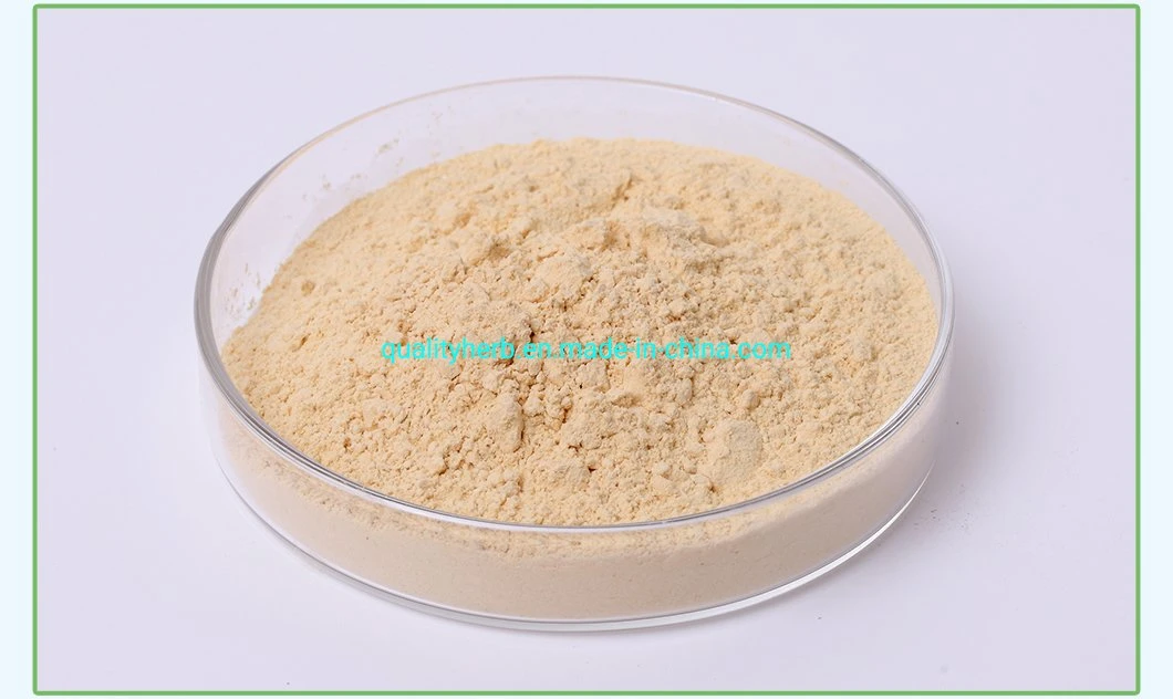 Top Quality Herbs Extract Renshen Ginsenoside Panax Ginseng Root Extract for Immune-Boosting Used in Dietary Supplement