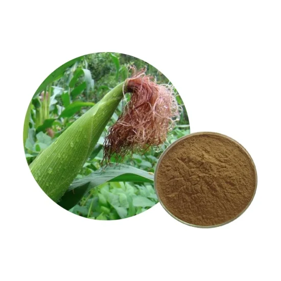 Natural Plant Extract Chinese Herb Stigmata Maydis Powder Corn Silk Extract