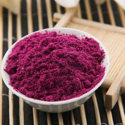 100% Organic Fresh Dragon Fruit Powder OEM Private Label Red Fruit Powder for Juice and Beverages