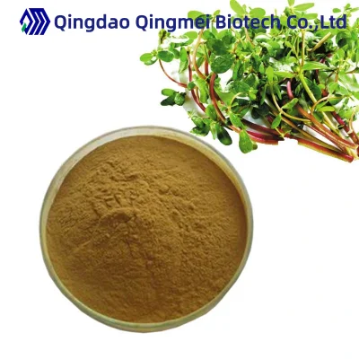 Hot Sale Portulaca Oleracea Extract Herbal Extract Purslane Extract for Skin Care/Pharmaceutical Natural Purslane Herb 10: 1