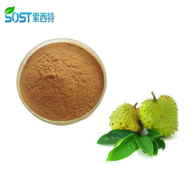 Hot Sale Guanabana Soursop Graviola Fruit Extract Powder